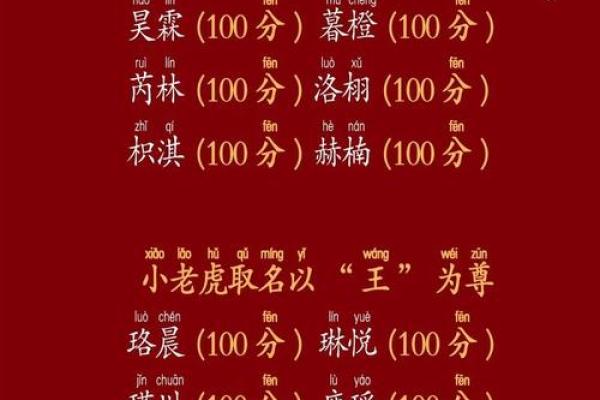 中午出生的属虎男孩如何起名，适合什么字姓名