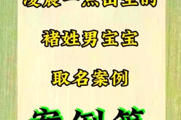 褚姓女孩名字大全-褚姓女孩起名字大全-褚姓名字大全姓名
