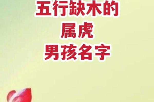 半夜出生的属虎男孩起什么名，应用什么字姓名