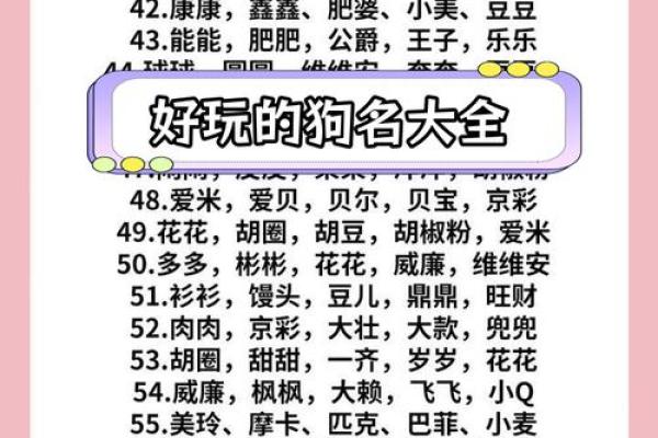 二月份出生的属狗男孩怎么取名字姓名