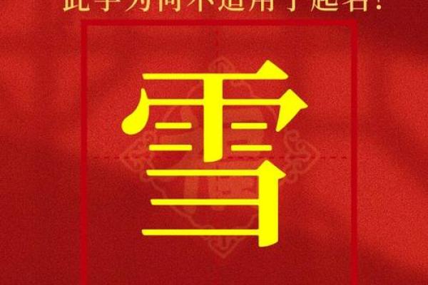 2019年大雪节气出生带雪字取名女孩名字,关于雪的唯美名字姓名 2019年大雪节气出生带雪字取名女孩名字,关于雪的唯美名字姓名
