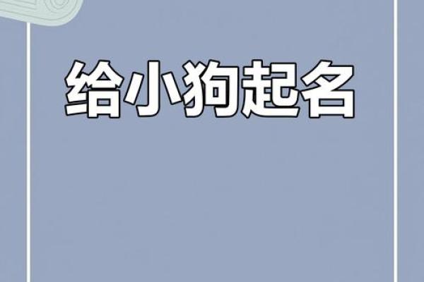 2018年狗宝宝最适合用什么字来起名 -华易网姓名