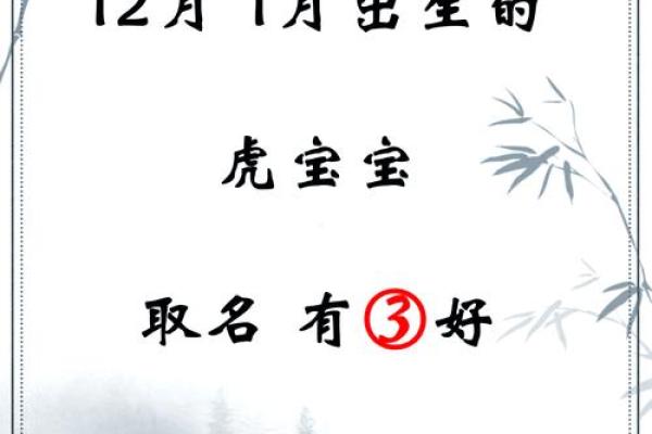 中午1点出生的属虎男孩如何起名,适合什么字姓名 中午1点出生的属虎男孩如何起名,适合什么字姓名