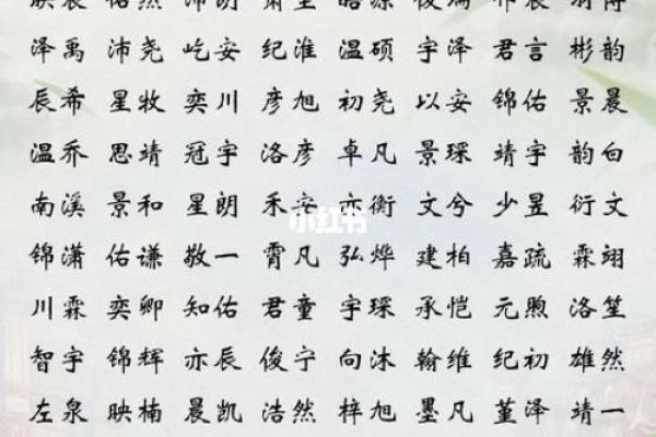 2019年6月21号寅时出生的男孩起名时要注意什么姓名 2019年6月21号寅时出生的男孩起名时要注意什么姓名