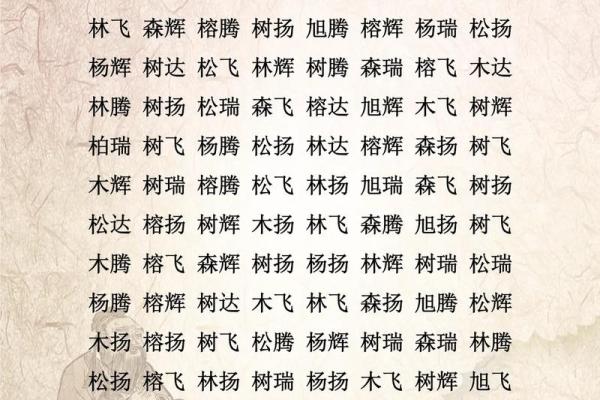 网络公司名字大全-名字大全姓名 网络公司名字大全-名字大全姓名