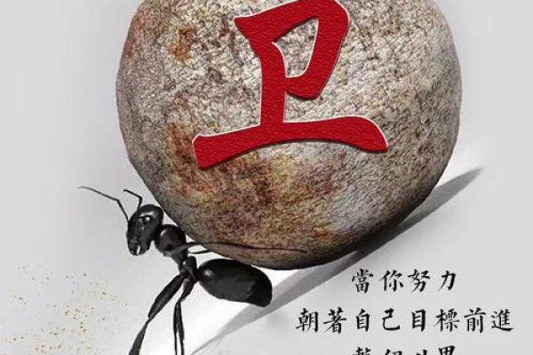 卫姓女孩名字大全-卫姓女孩起名字大全-卫姓名字大全姓名 卫姓女孩名字大全-卫姓女孩起名字大全-卫姓名字大全姓名