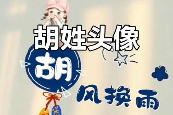 2019年出生的姓胡男孩如何起名,宜用什么字姓名 2019年出生的姓胡男孩如何起名,宜用什么字姓名
