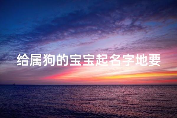 三月份出生的属狗男孩如何取名字姓名 三月份出生的属狗男孩如何取名字姓名