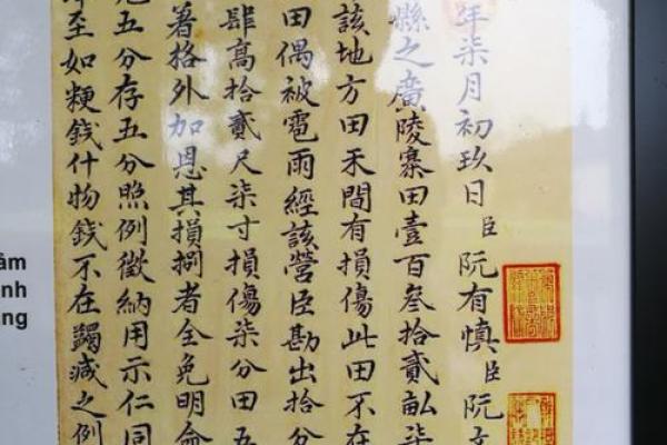 阮姓女孩名字大全-阮姓女孩起名字大全-阮姓名字大全姓名 阮姓女孩名字大全-阮姓女孩起名字大全-阮姓名字大全姓名