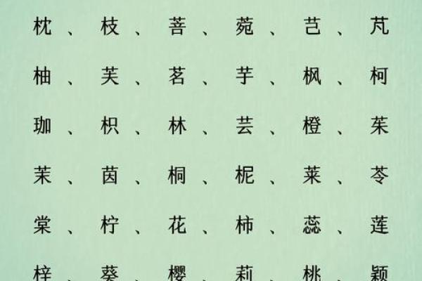 带木字旁的男孩名字-名字大全-姓名学-华易算命网姓名