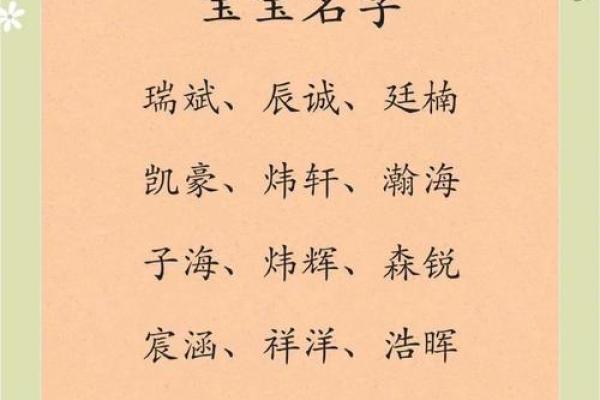 属猪辰时出生的男孩如何取名字，宜用什么字姓名