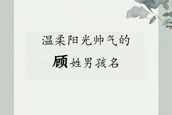 顾姓男孩名字大全-顾姓男孩起名字大全-顾姓名字大全姓名