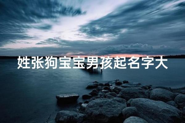 下午四点出生的属狗男孩怎么取名，用什么字好姓名