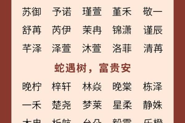 属蛇辰时出生的男孩如何取名字，适合用什么字姓名