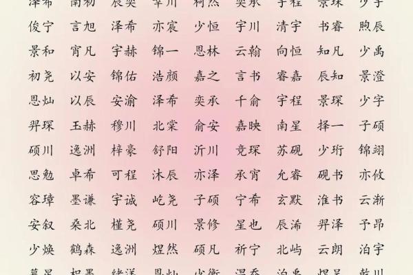 2019年3月17号巳时出生的男孩应该起什么样的名字姓名 2019年3月17号巳时出生的男孩应该起什么样的名字姓名