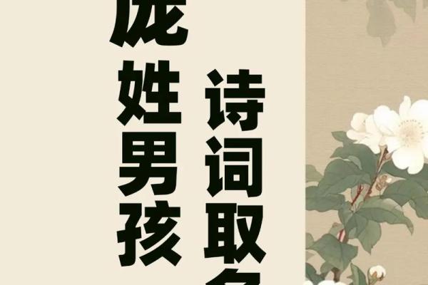 庞姓女孩名字大全-庞姓女孩起名字大全-庞姓名字大全姓名