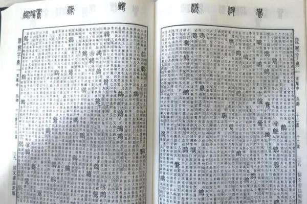 康熙字典8画的字-姓名学-华易算命网姓名 康熙字典8画的字-姓名学-华易算命网姓名