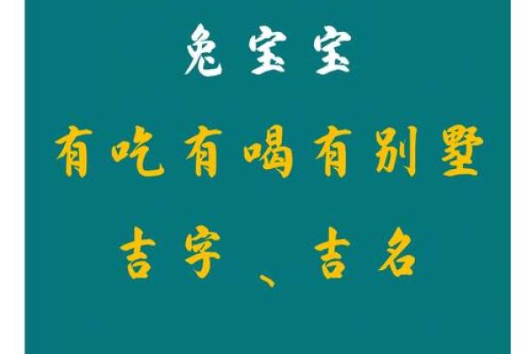 1月份出生的属兔男孩该怎样取名字姓名