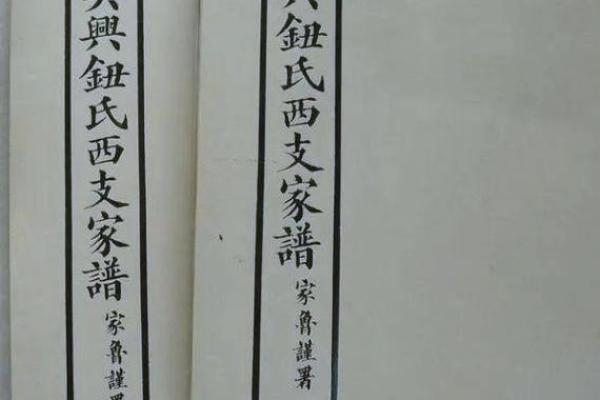 钮姓女孩名字大全-钮姓女孩起名字大全-钮姓名字大全姓名 钮姓女孩名字大全-钮姓女孩起名字大全-钮姓名字大全姓名