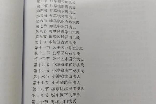 洪姓男孩名字大全-洪姓男孩起名字大全-洪姓名字大全姓名