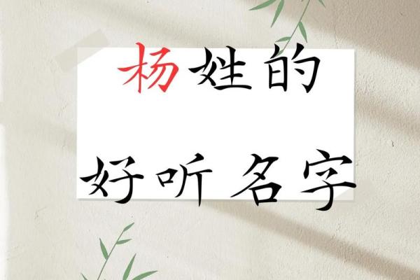 杨姓男孩名字大全-杨姓男孩起名字大全-杨姓名字大全姓名 杨姓男孩名字大全-杨姓男孩起名字大全-杨姓名字大全姓名