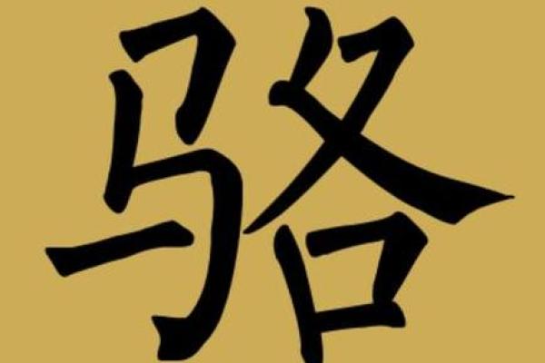 骆姓女孩名字大全-骆姓女孩起名字大全-骆姓名字大全姓名 骆姓女孩名字大全-骆姓女孩起名字大全-骆姓名字大全姓名