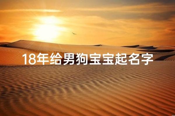 下午出生的属狗男孩取什么名,宜用什么字姓名 下午出生的属狗男孩取什么名,宜用什么字姓名