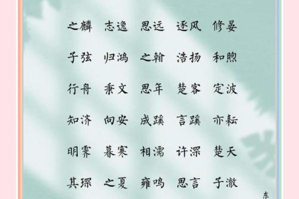 2019年6月23号子时出生的男孩如何起名姓名 2019年6月23号子时出生的男孩如何起名姓名