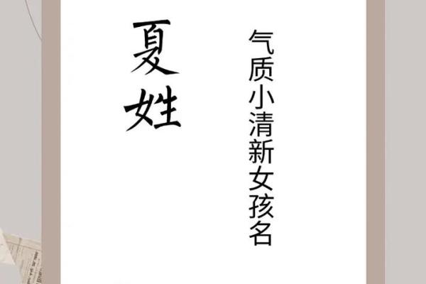 夏姓男孩名字大全-夏姓男孩起名字大全-夏姓名字大全姓名